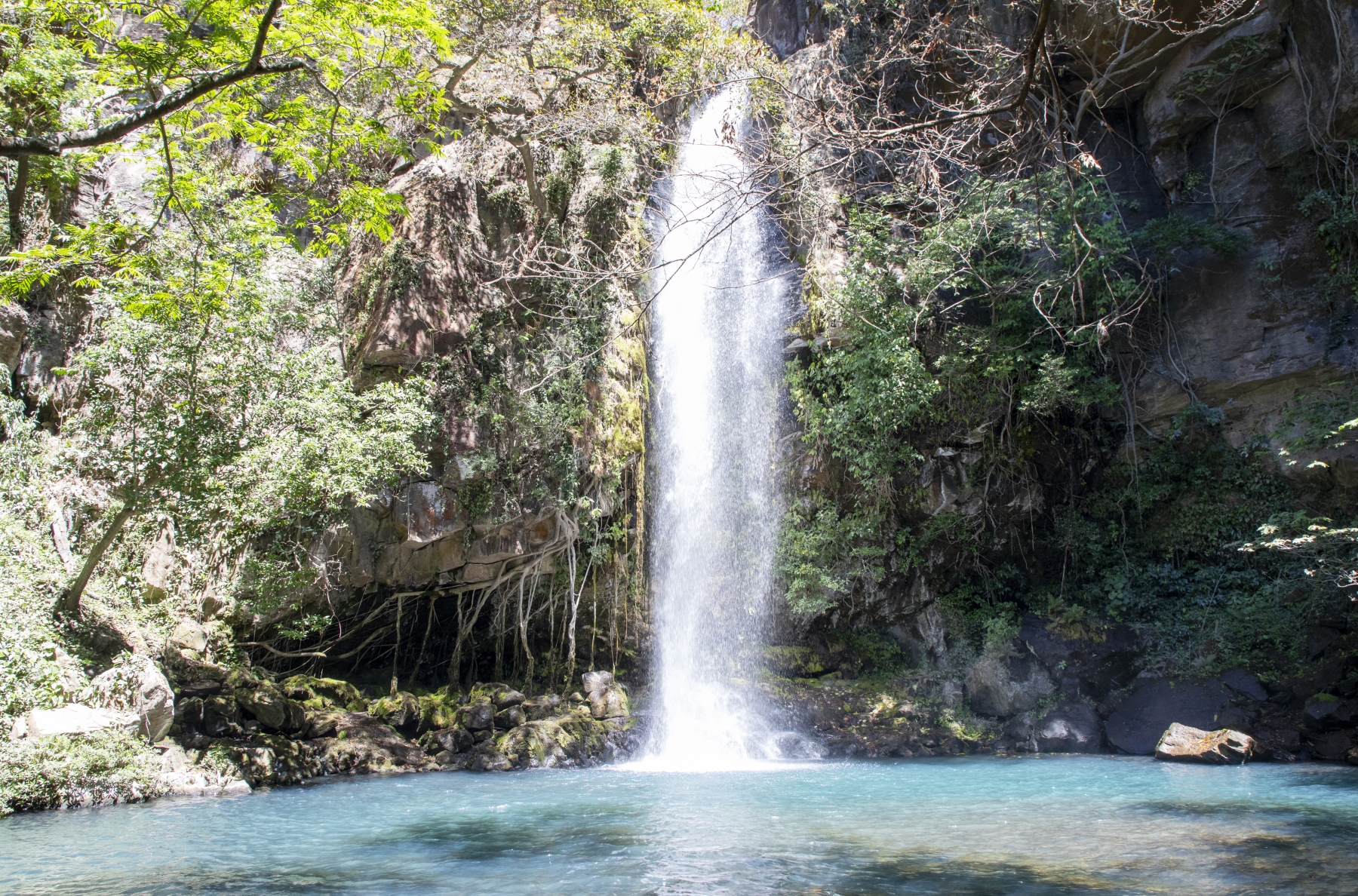 /gallery/central_america/costa_rica/guanacaste/ ricron np/La Cangreja Waterfall Ricron NP 2024-001_med.jpg